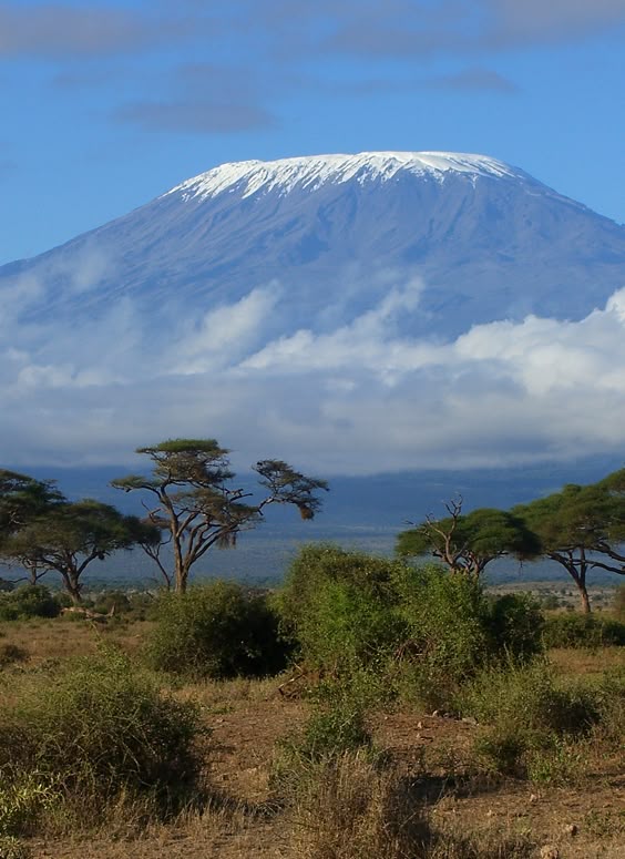 Kilimanjaro