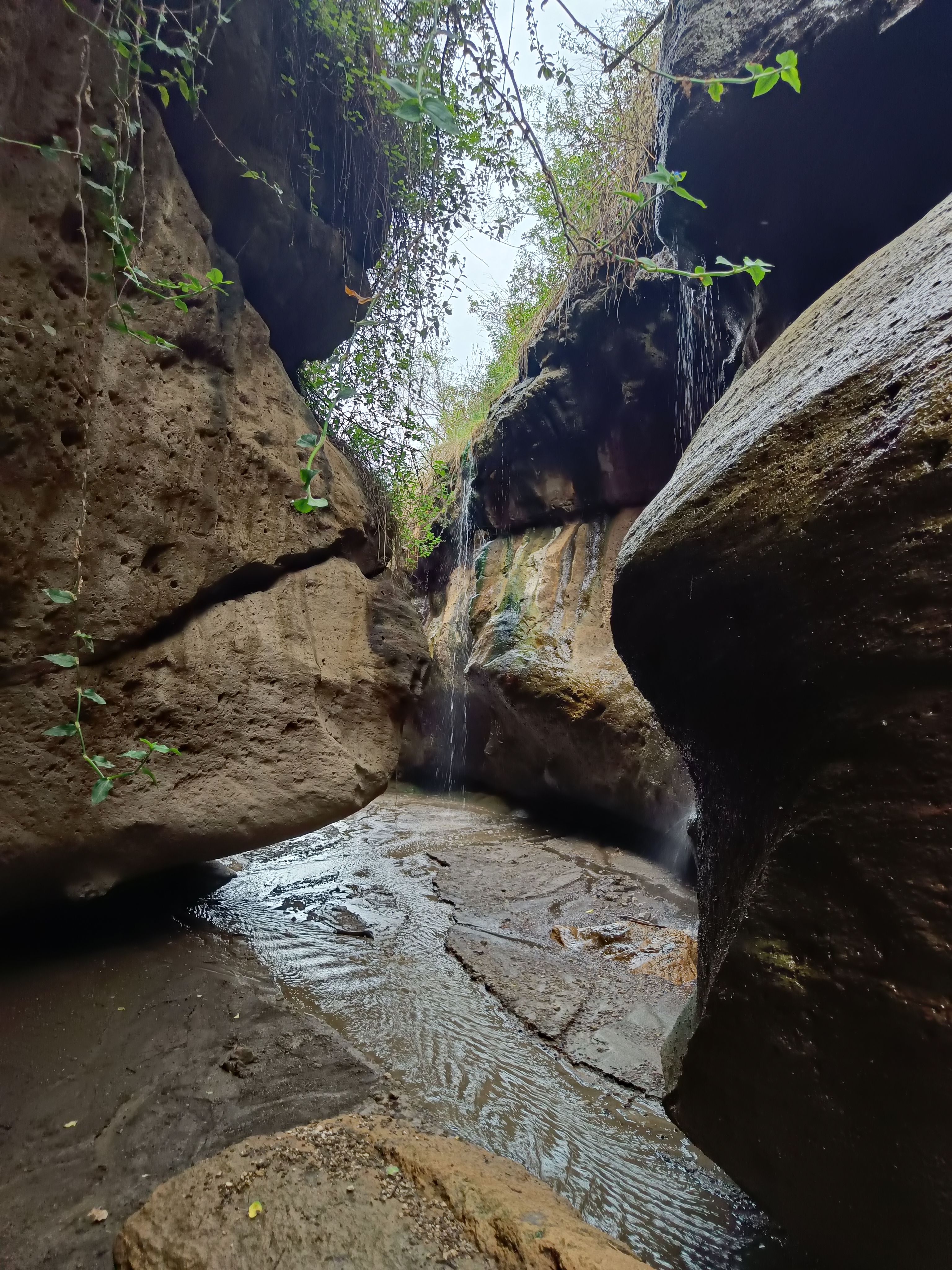 Naivasha