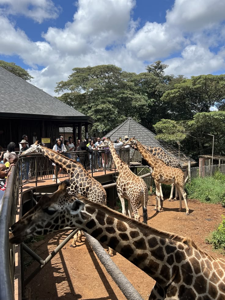 Nairobi