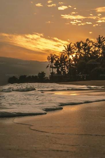 Azul Margarita Resort