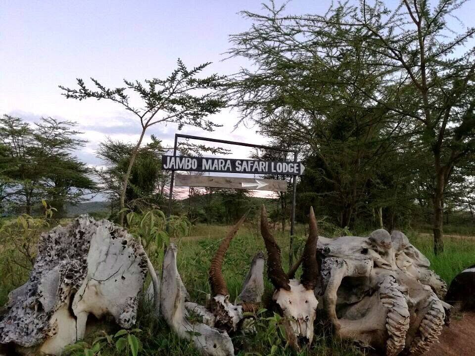 Maasai Mara Group Joining Safari (Jambo Mara Safari Lodge)