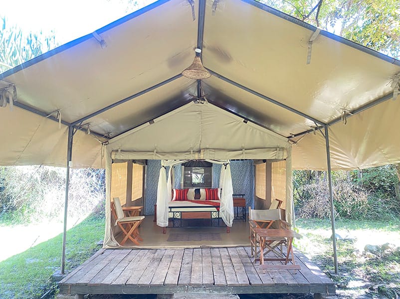 Maasai Mara Group Joining Safari(Enchoro Wildlife Camp)