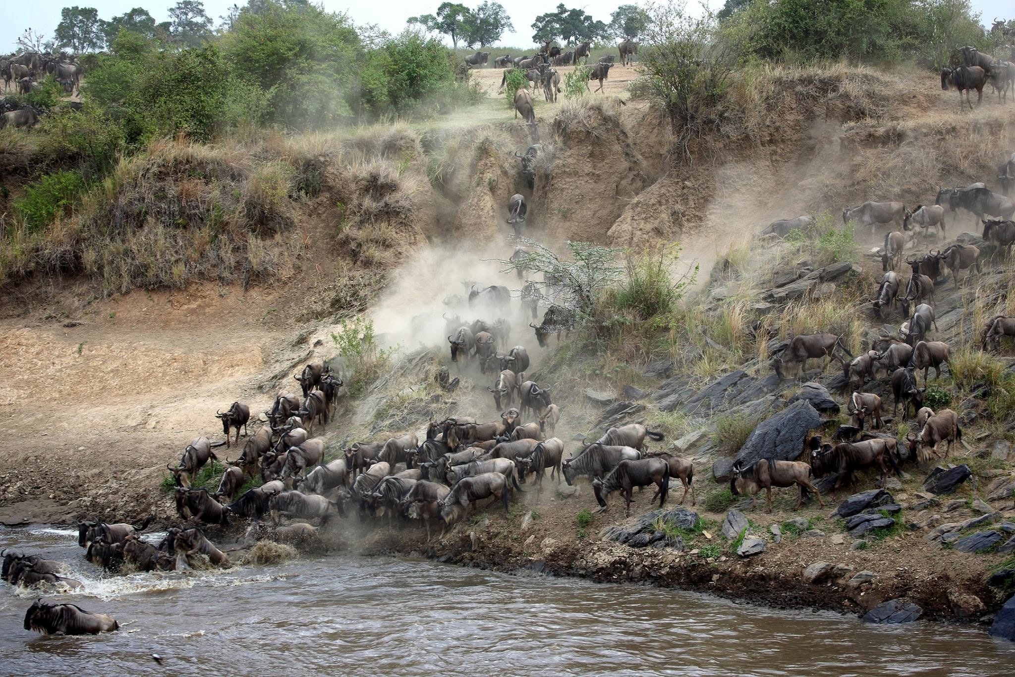 Maasai Mara Group Joining Safari (Jambo Mara Safari Lodge)